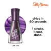 Sally Hansen Insta-Dri Holo-Glow Nail Polish | Quick Dry, Long Lasting, Streak-Free Shine | Semi-Opaque, Shimmery | 102 Lustrous Lilac | Hologrpahic Purple Nail Color(116 Lunar Love)