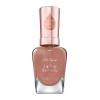 Sally Hansen Color Therapy Staycation Collection – Nail Polish – Tea Time – 0.5 fl oz, Case of 72