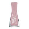 Sally Hansen Insta-Dri Crystal Nail Polish | Quick Dry, Long Lasting, Streak-Free Shine | Opaque, Shimmery | 118 Quartz Queen | Holographic Baby Pink Nail Color(433 Hurry Plum)