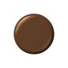 Sally Hansen Insta-Dri Hershey Kisses Nail Polish | Quick Dry, Long Lasting, Streak-Free Shine | Opaque, Glossy | 727 More KISSES Plz | Cocoa Brown Nail Color(727 More KISSES plz)