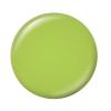 Sally Hansen Miracle Gel™, Hue Had to Be There Toadally Buggin’, Long Lasting, Gel-Like Formula, No UV Lamp Needed, Green Nail Polish