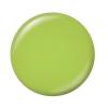 Sally Hansen Miracle Gel™, Hue Had to Be There Toadally Buggin’, Long Lasting, Gel-Like Formula, No UV Lamp Needed, Green Nail Polish