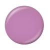 Sally Hansen Miracle Gel Salon Quality Nail Polish | Gel-Like Formula, Two-Step System, No UV Light Needed, Long Lasting | Opaque, Glossy | 889 Nice Nice Baby| Light Lilac Nail Color