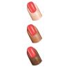 Sally Hansen Xtreme Wear Nail Color, Mint Sorbet, 0.4 Fluid Ounce(Coral Reef – 405)