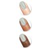 Sally Hansen Xtreme Wear Nail Color, Mint Sorbet, 0.4 Fluid Ounce(Pine Shine)